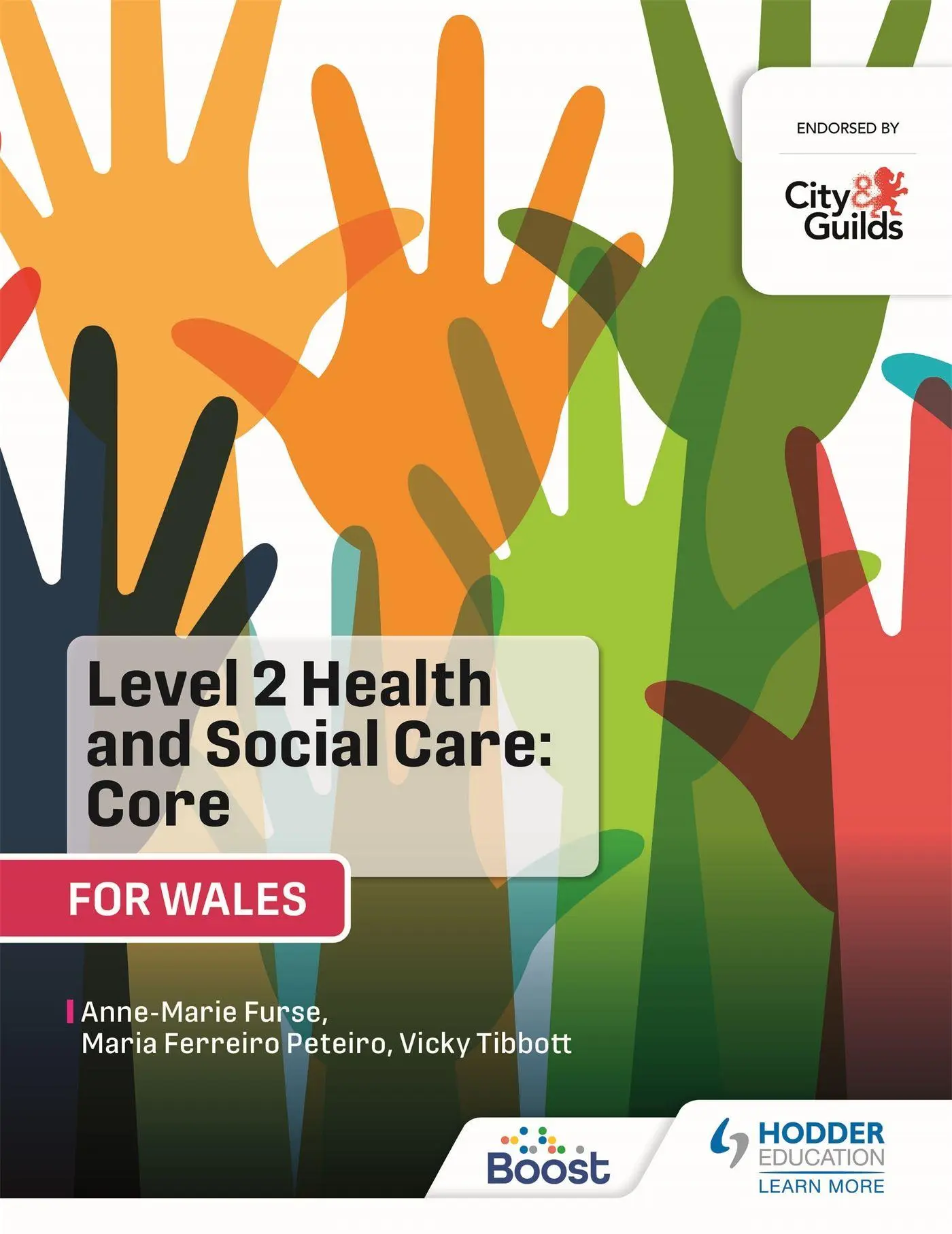 Cover: 9781398334403 | Level 2 Health and Social Care | Anne-Marie Furse (u. a.) | Buch