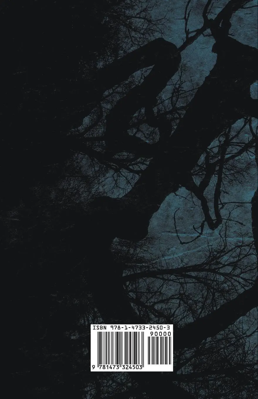 Rückseite: 9781473324503 | The Shadow in the Corner | Mary Elizabeth Braddon | Taschenbuch | 2015