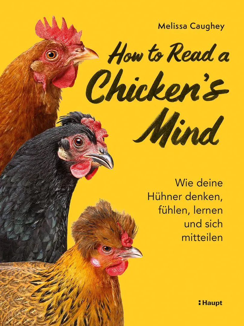 Cover: 9783258084503 | How to Read a Chicken's Mind | Melissa Caughey | Taschenbuch | 128 S.