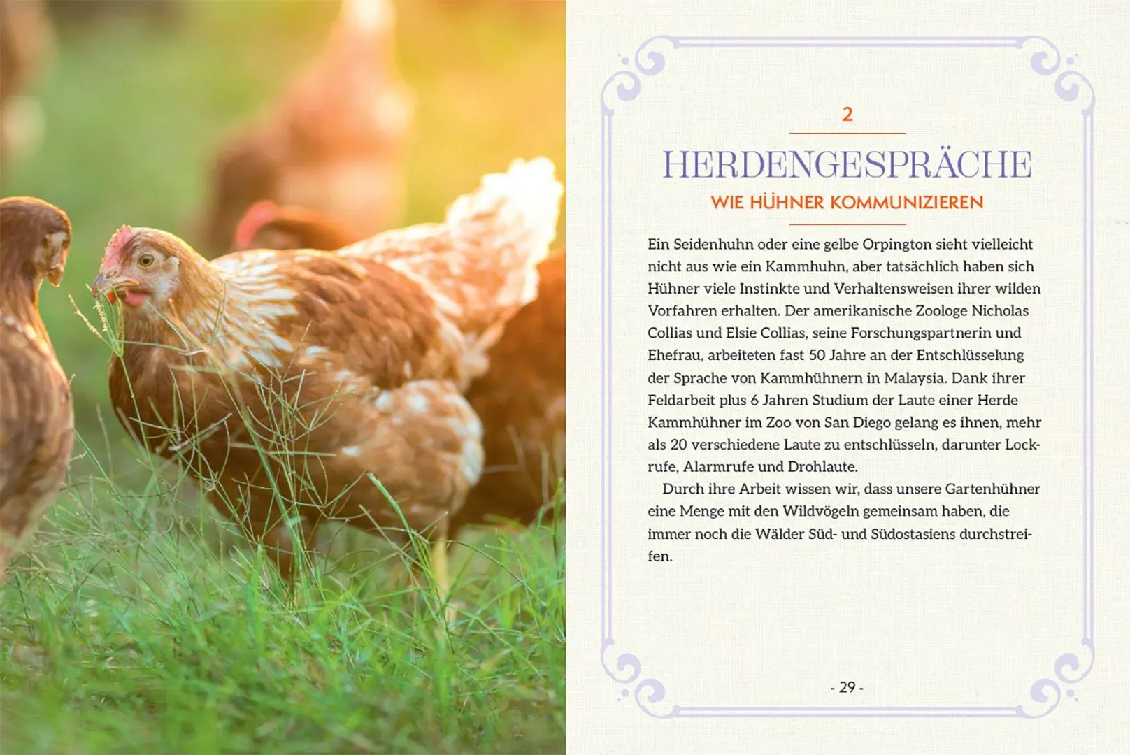 Bild: 9783258084503 | How to Read a Chicken's Mind | Melissa Caughey | Taschenbuch | 128 S.