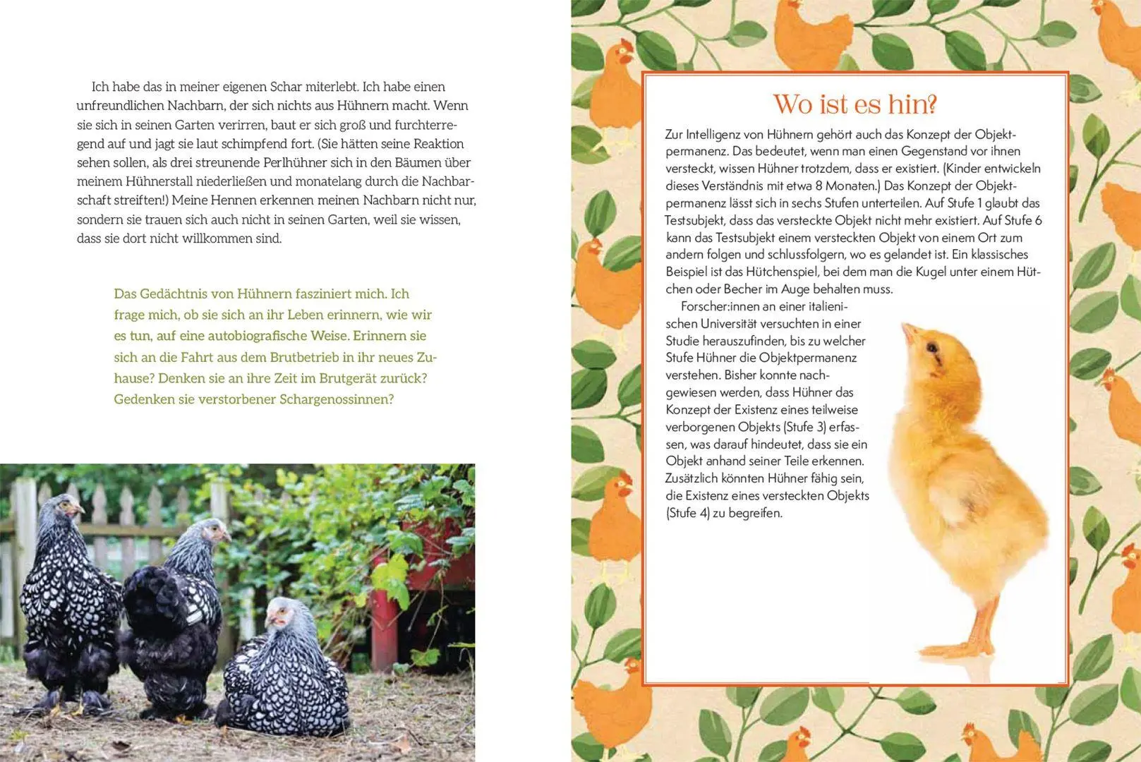 Bild: 9783258084503 | How to Read a Chicken's Mind | Melissa Caughey | Taschenbuch | 128 S.