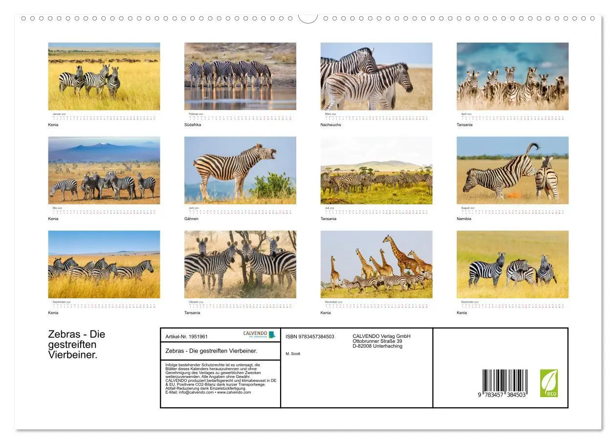 Bild: 9783457384503 | Zebras - Die gestreiften Vierbeiner. (hochwertiger Premium...