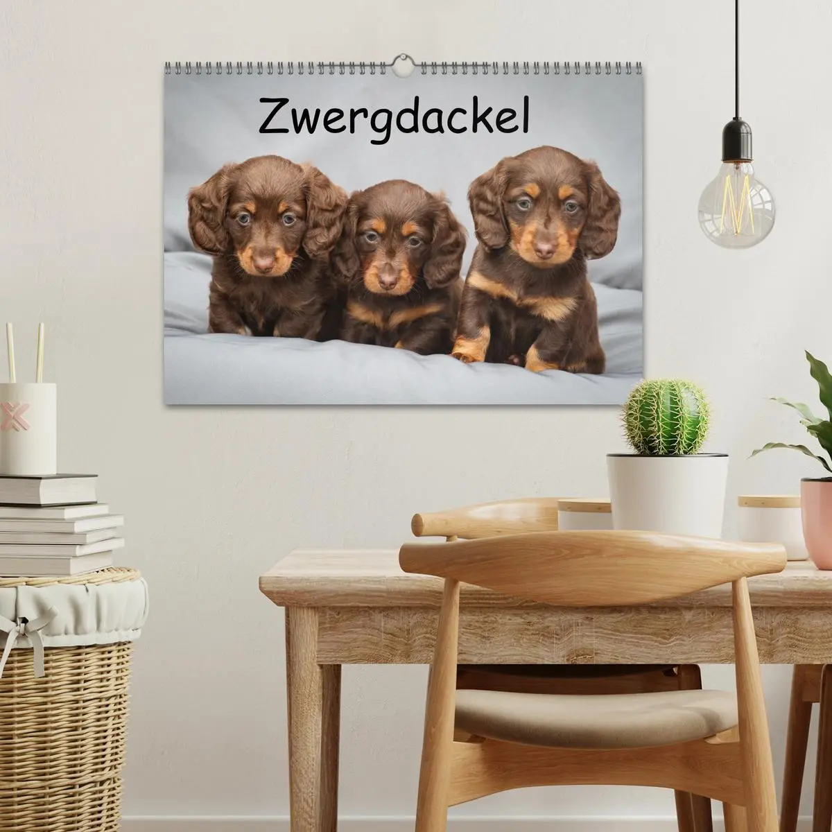 Bild: 9783457524503 | Zwergdackel von Kadi (Wandkalender 2026 DIN A3 quer), CALVENDO...