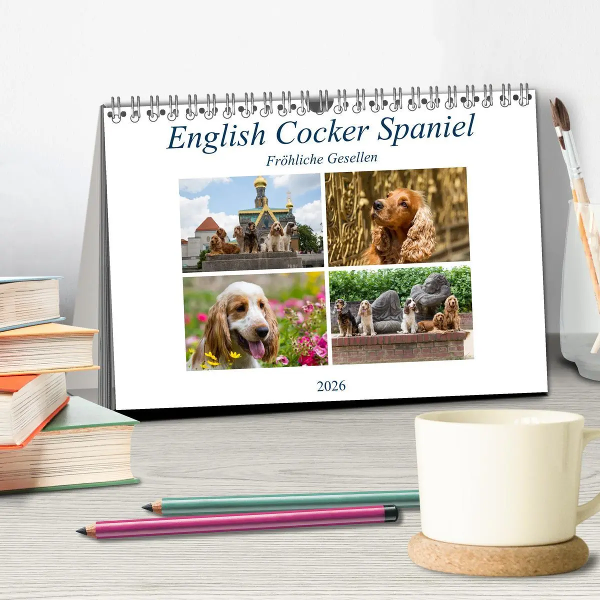 Bild: 9783457904503 | English Cocker Spaniel - Fröhliche Gesellen (Tischkalender 2026 DIN...
