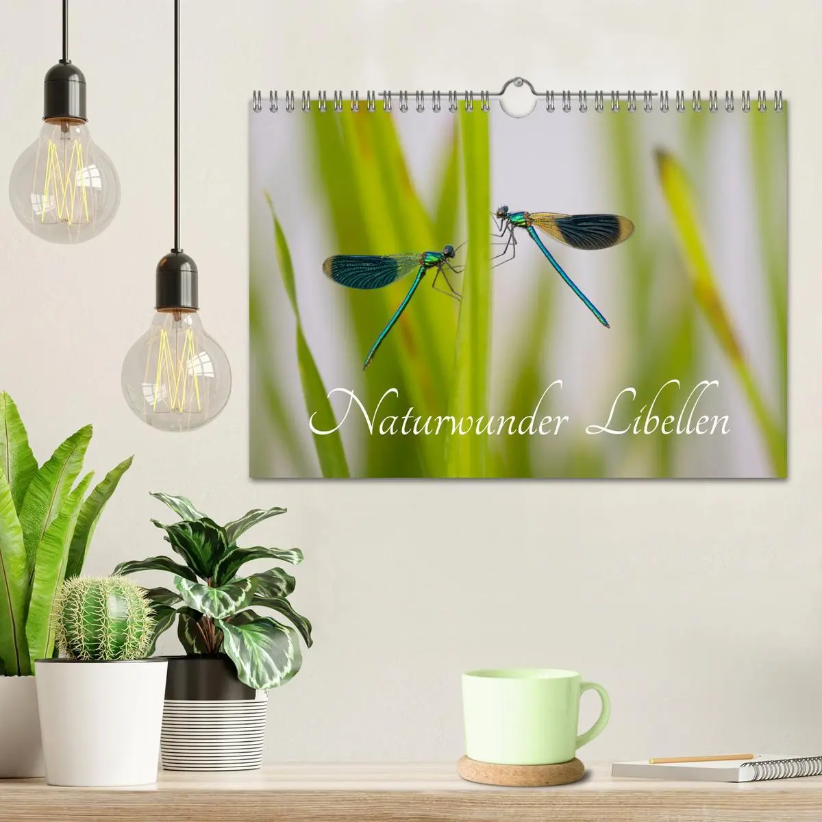 Bild: 9783516234503 | Naturwunder Libellen (Wandkalender 2026 DIN A4 quer), CALVENDO...