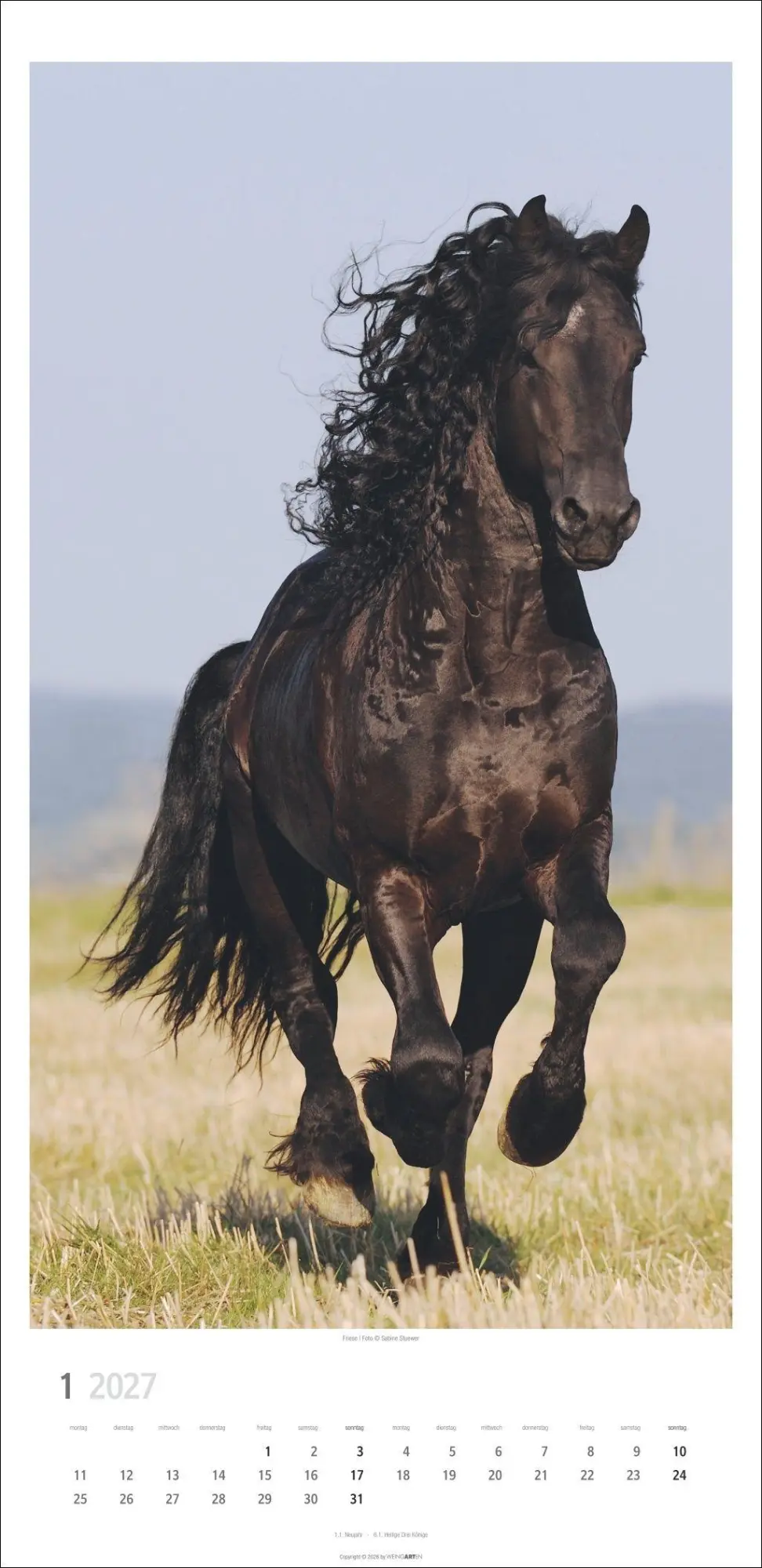 Bild: 9783839904503 | Pferde Kalender 2027 | Sabine Stuewer | Kalender | Spiralbindung