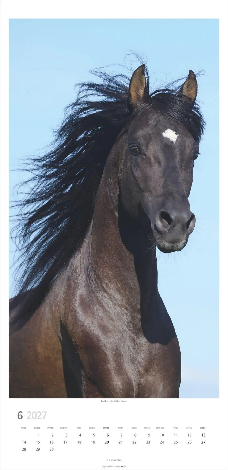 Bild: 9783839904503 | Pferde Kalender 2027 | Sabine Stuewer | Kalender | Spiralbindung