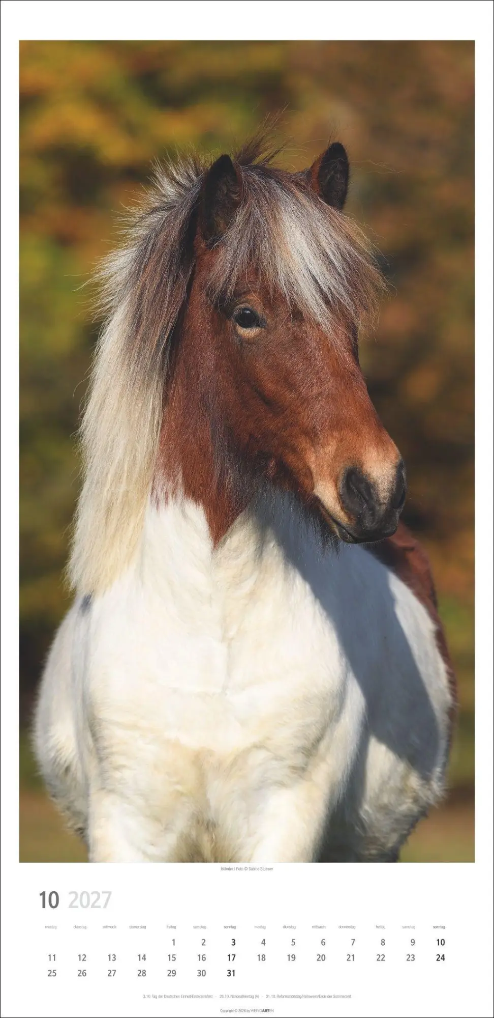 Bild: 9783839904503 | Pferde Kalender 2027 | Sabine Stuewer | Kalender | Spiralbindung