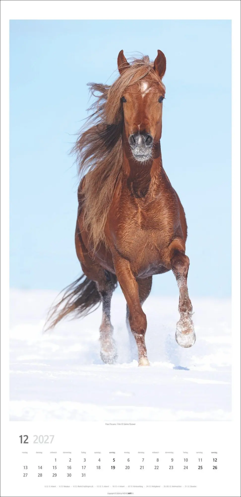 Bild: 9783839904503 | Pferde Kalender 2027 | Sabine Stuewer | Kalender | Spiralbindung