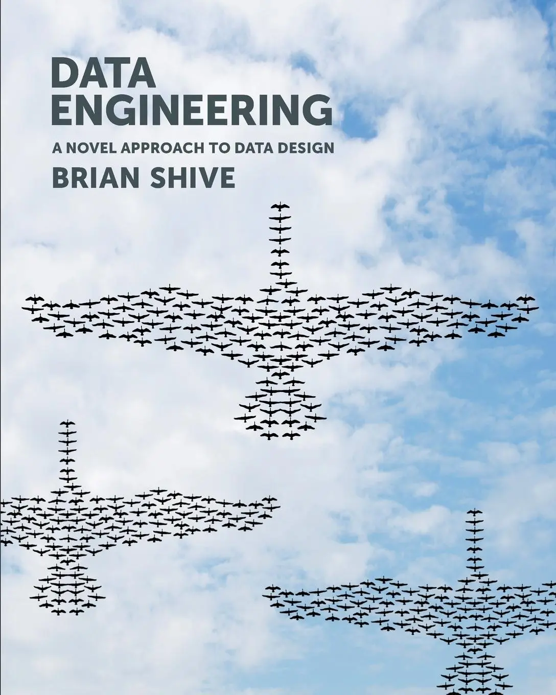 Cover: 9781935504603 | Data Engineering | A Novel Approach to Data Design | Brian Shive