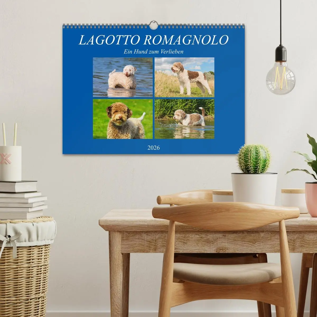 Bild: 9783457824603 | Lagotto Romagnolo - Ein Hund zum Verlieben (Wandkalender 2026 DIN...