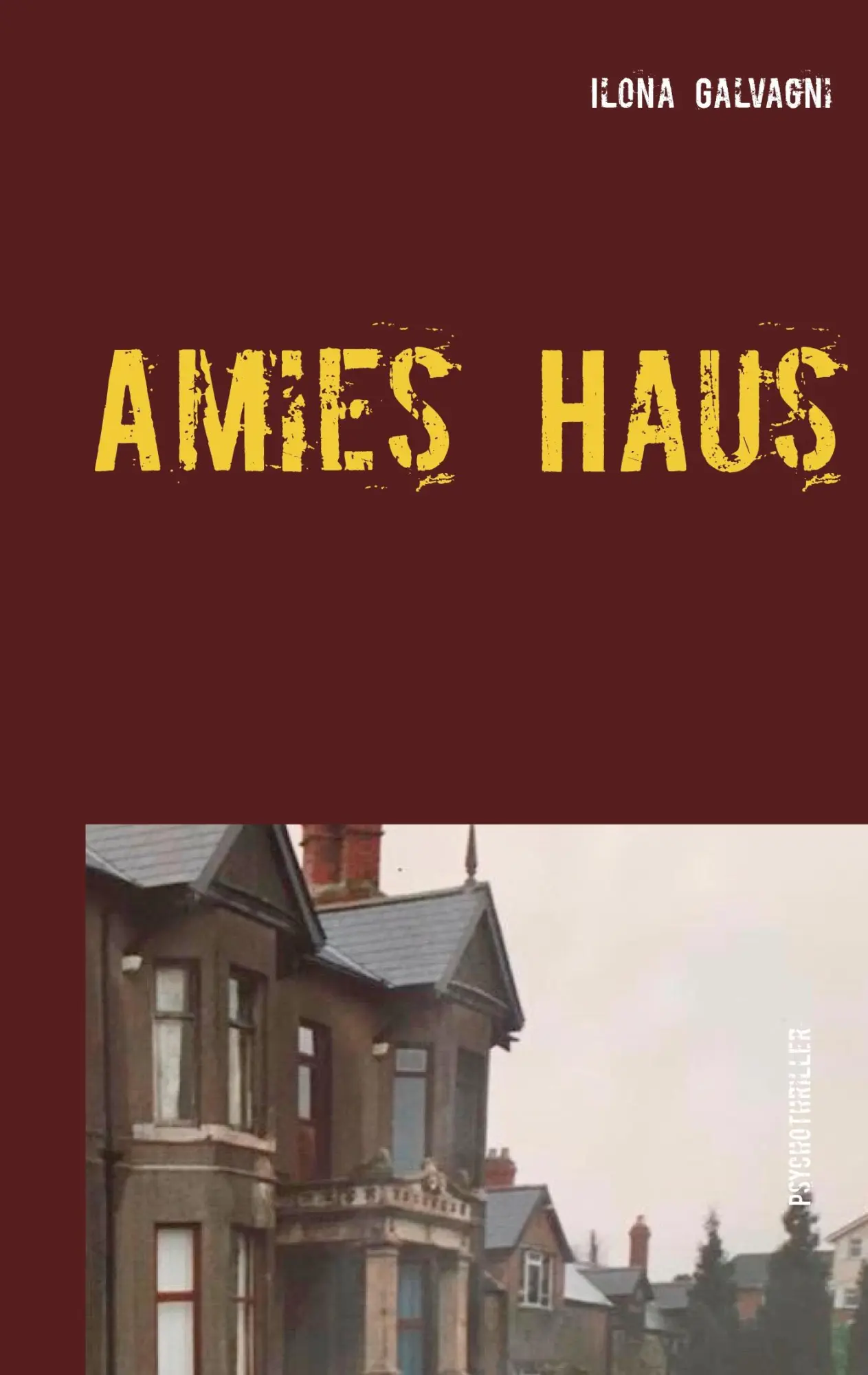 Cover: 9783753454603 | Amies Haus | Ilona Galvagni | Taschenbuch | Paperback | 126 S. | 2021