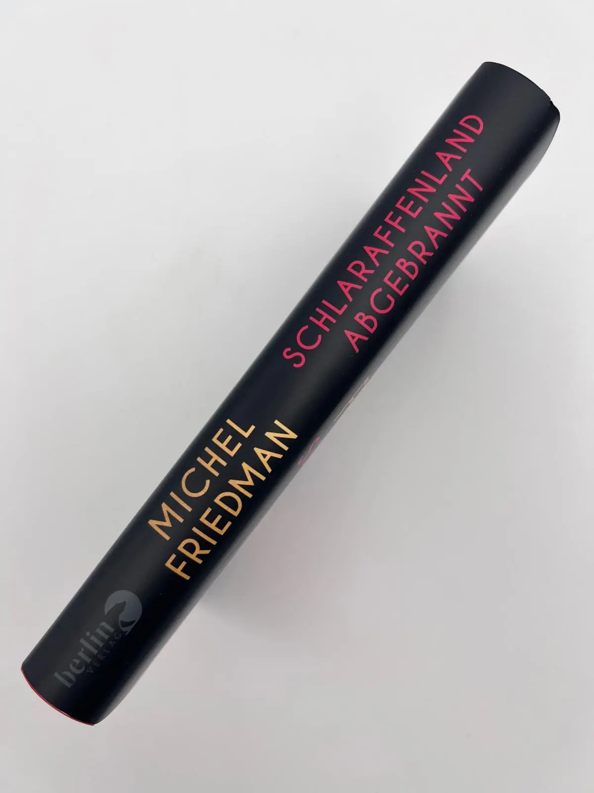 Bild: 9783827014603 | Schlaraffenland abgebrannt | Michel Friedman | Buch | 224 S. | Deutsch