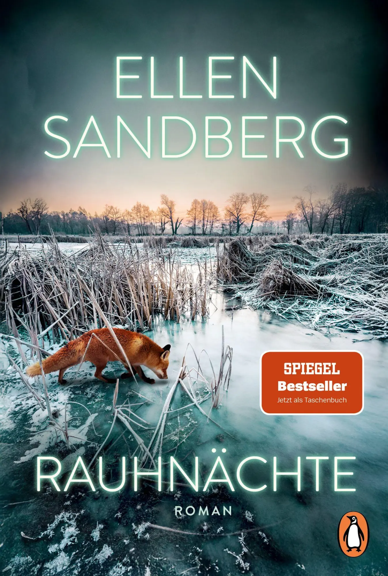 Cover: 9783328114703 | Rauhnächte | Roman | Ellen Sandberg | Taschenbuch | 352 S. | Deutsch