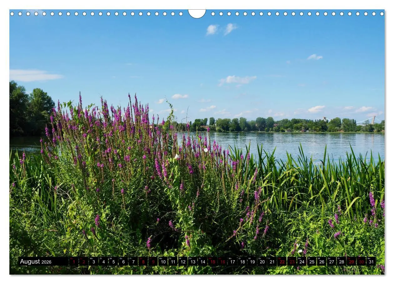 Bild: 9783457744703 | Die Renaissancestadt Mantua (Wandkalender 2026 DIN A3 quer),...