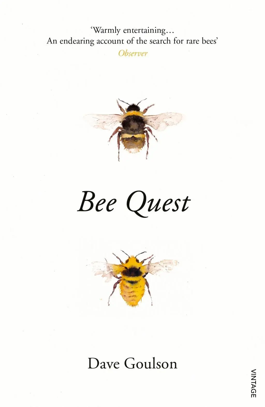 Cover: 9781784704803 | Bee Quest | Dave Goulson | Taschenbuch | 256 S. | Englisch | 2018