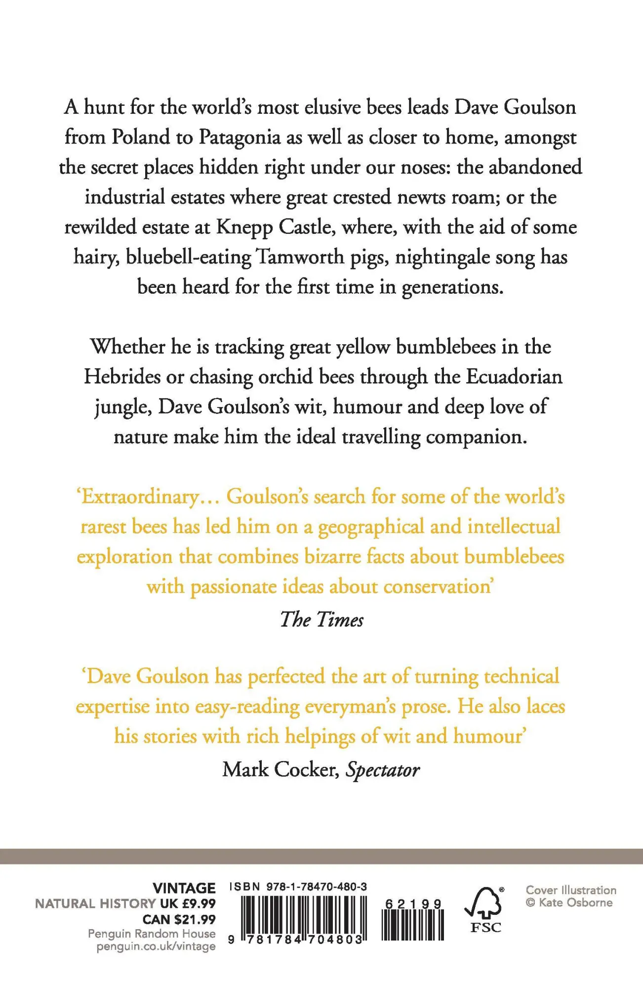 Rückseite: 9781784704803 | Bee Quest | Dave Goulson | Taschenbuch | 256 S. | Englisch | 2018
