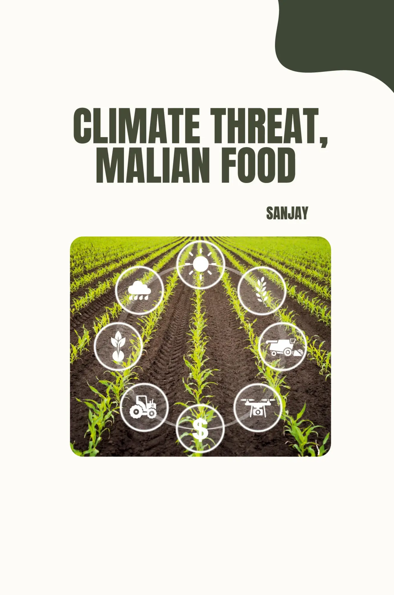 Climate Threat Malian Food - Sanjay Kartoniert (TB)