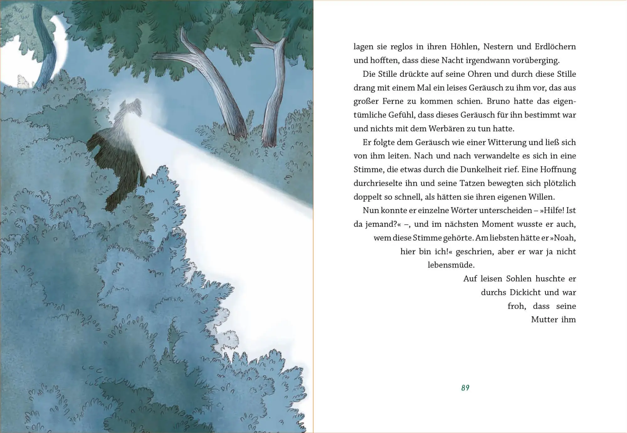 Bild: 9783423764803 | Mensch, Bär! | Eine Freundschaft beginnt | Knut Krüger | Buch | 112 S.