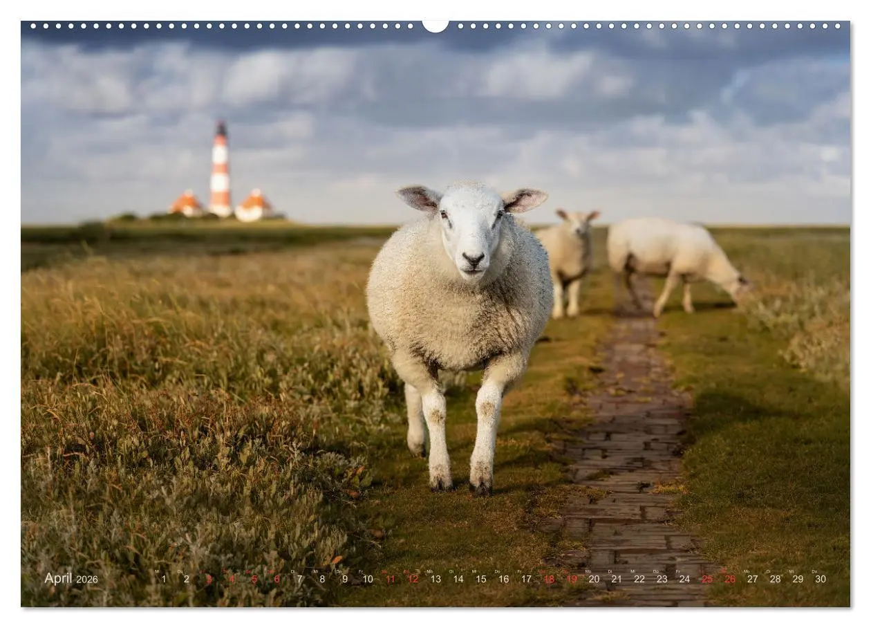 Bild: 9783457424803 | Wunderschönes Eiderstedt (hochwertiger Premium Wandkalender 2026...
