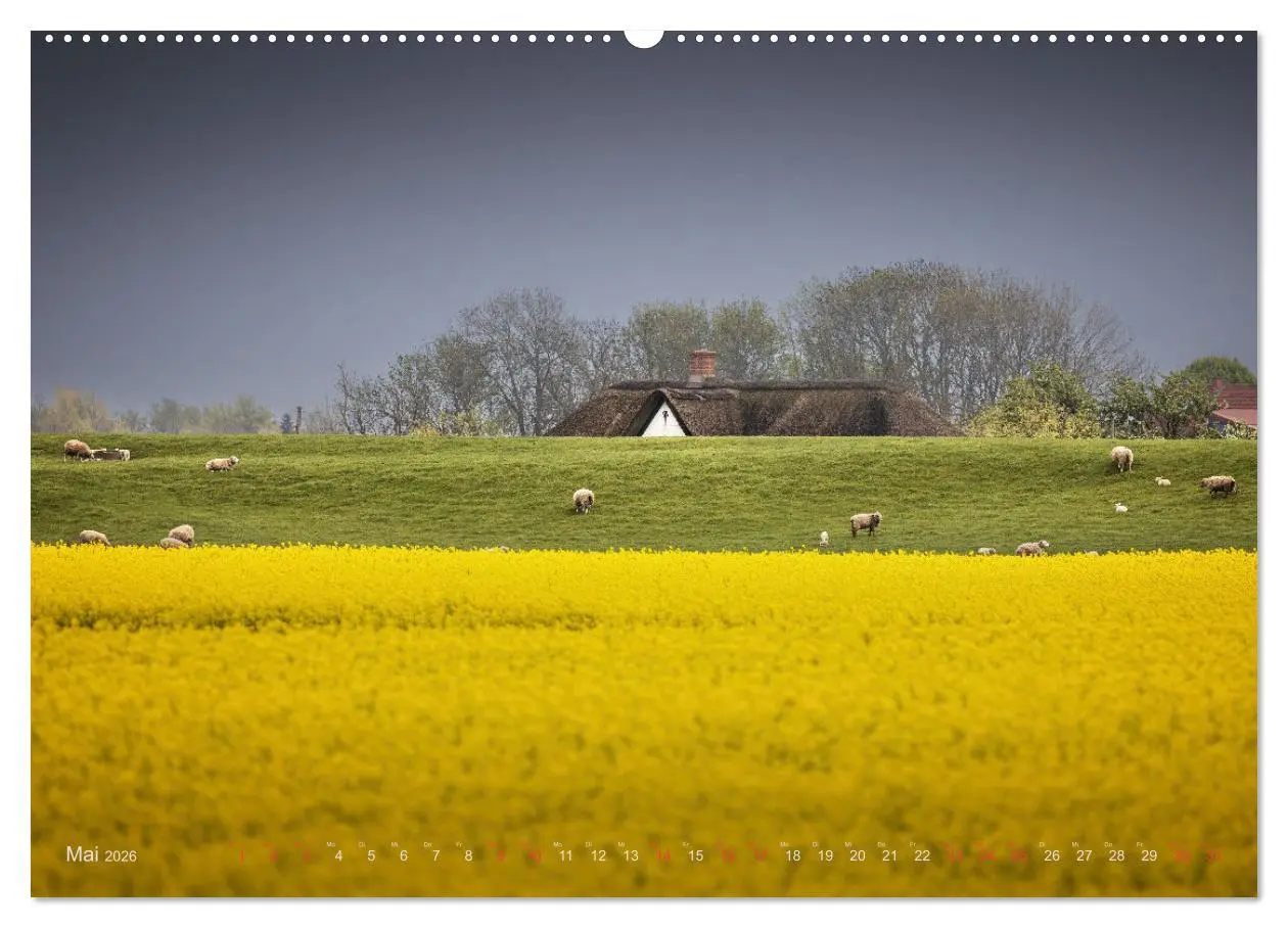 Bild: 9783457424803 | Wunderschönes Eiderstedt (hochwertiger Premium Wandkalender 2026...