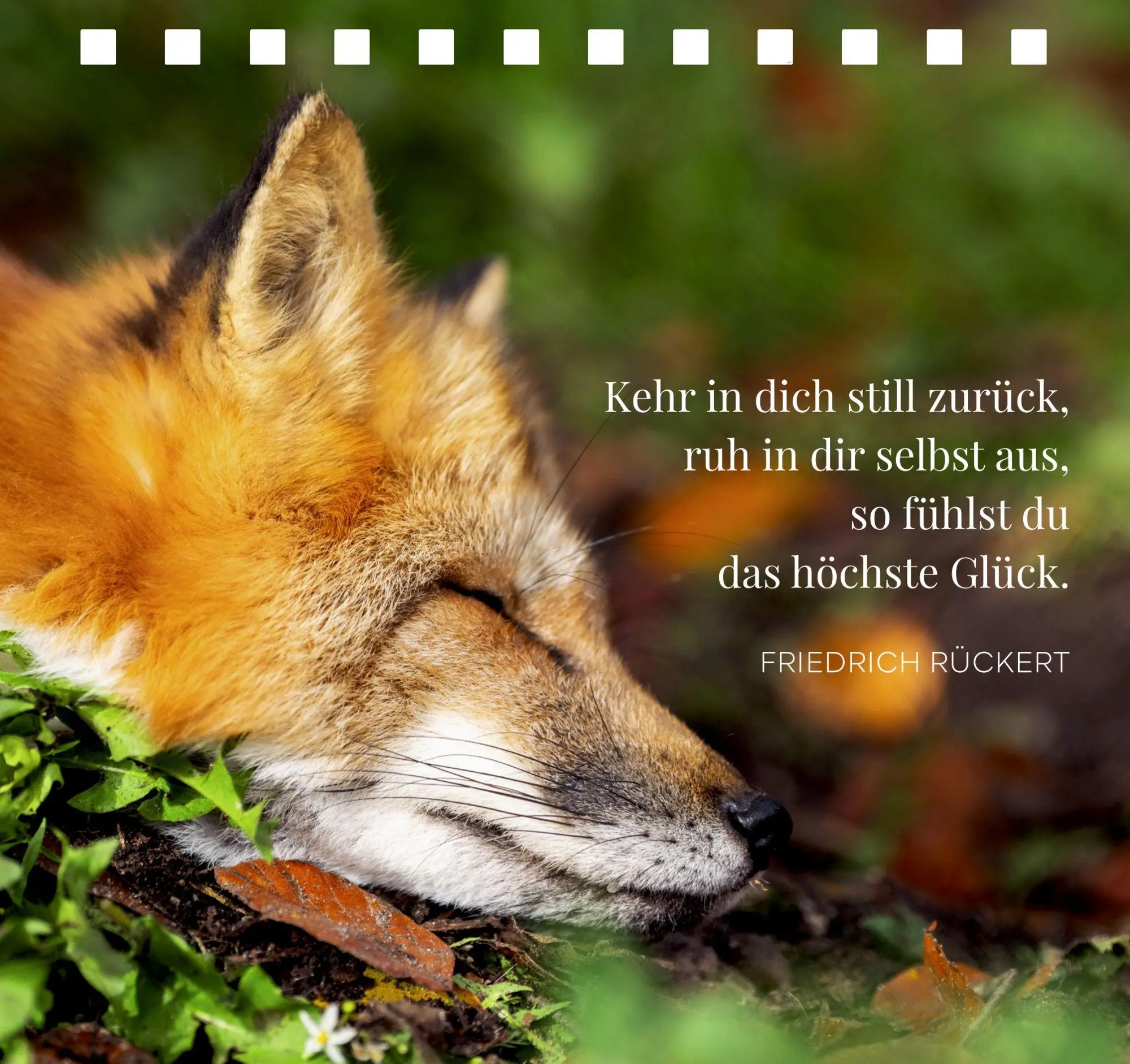Bild: 9783649654803 | In der Ruhe liegt das Glück | Taschenbuch | 176 S. | Deutsch | 2026