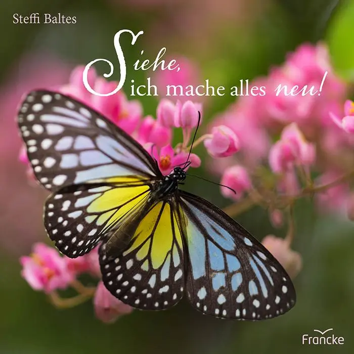 Cover: 9783963624803 | Siehe, ich mache alles neu! | Steffi Baltes | Broschüre | 16 S. | 2025