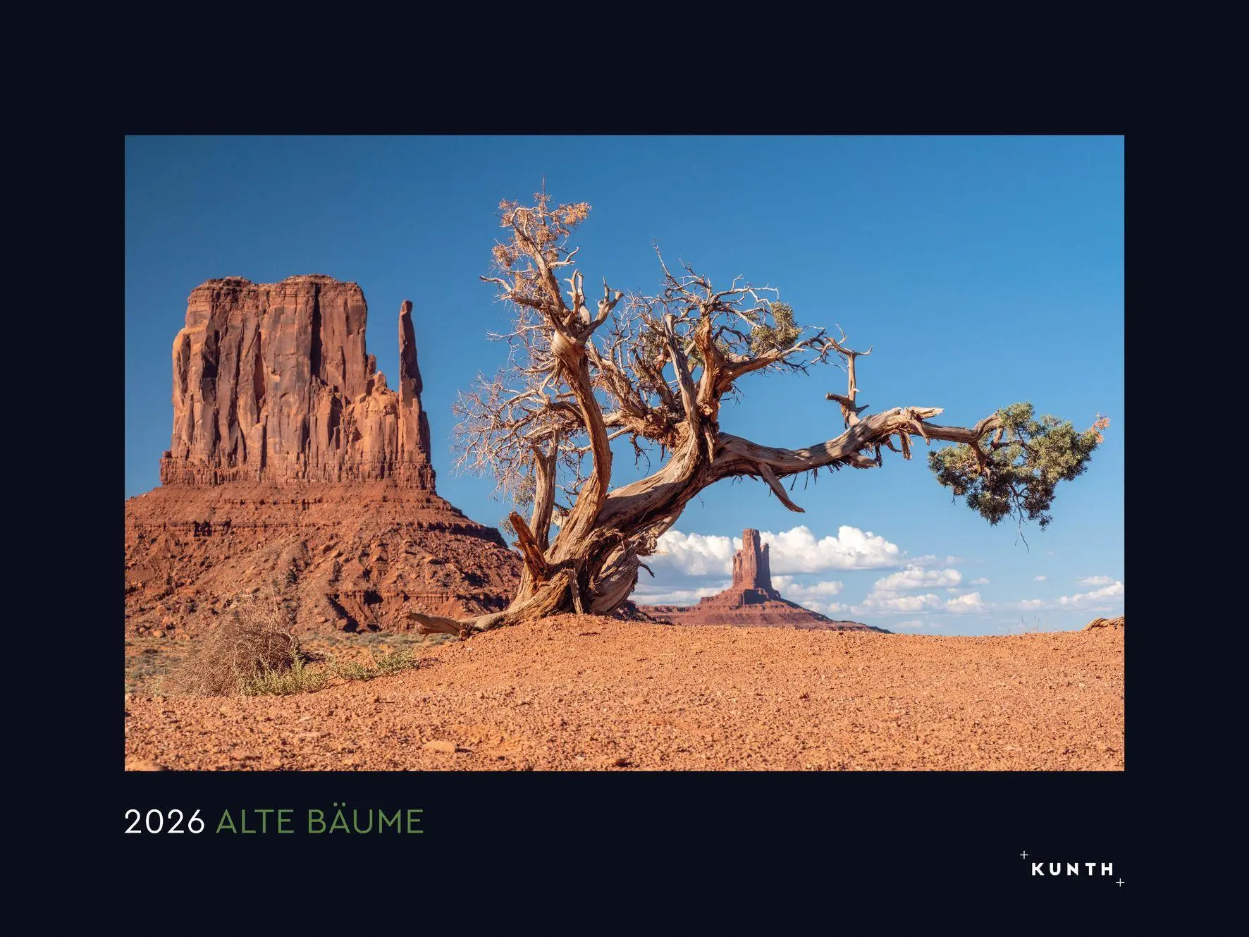 Cover: 9783965914803 | Alte Bäume, Sinnbilder des Lebens - KUNTH Wandkalender 2026 | Kalender