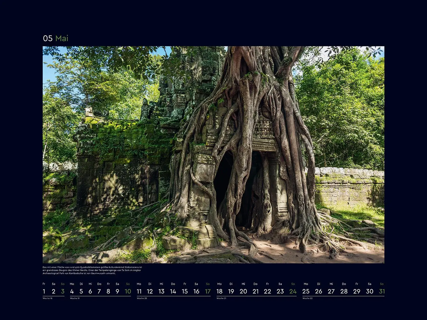 Bild: 9783965914803 | Alte Bäume, Sinnbilder des Lebens - KUNTH Wandkalender 2026 | Kalender