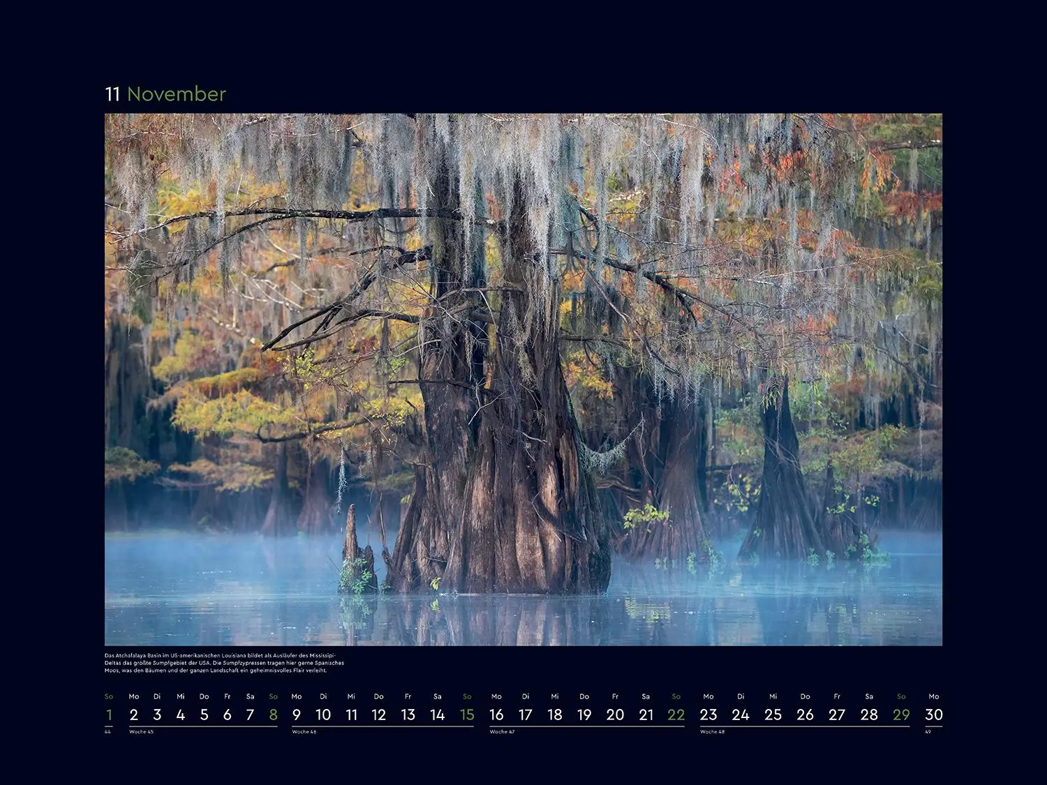 Bild: 9783965914803 | Alte Bäume, Sinnbilder des Lebens - KUNTH Wandkalender 2026 | Kalender