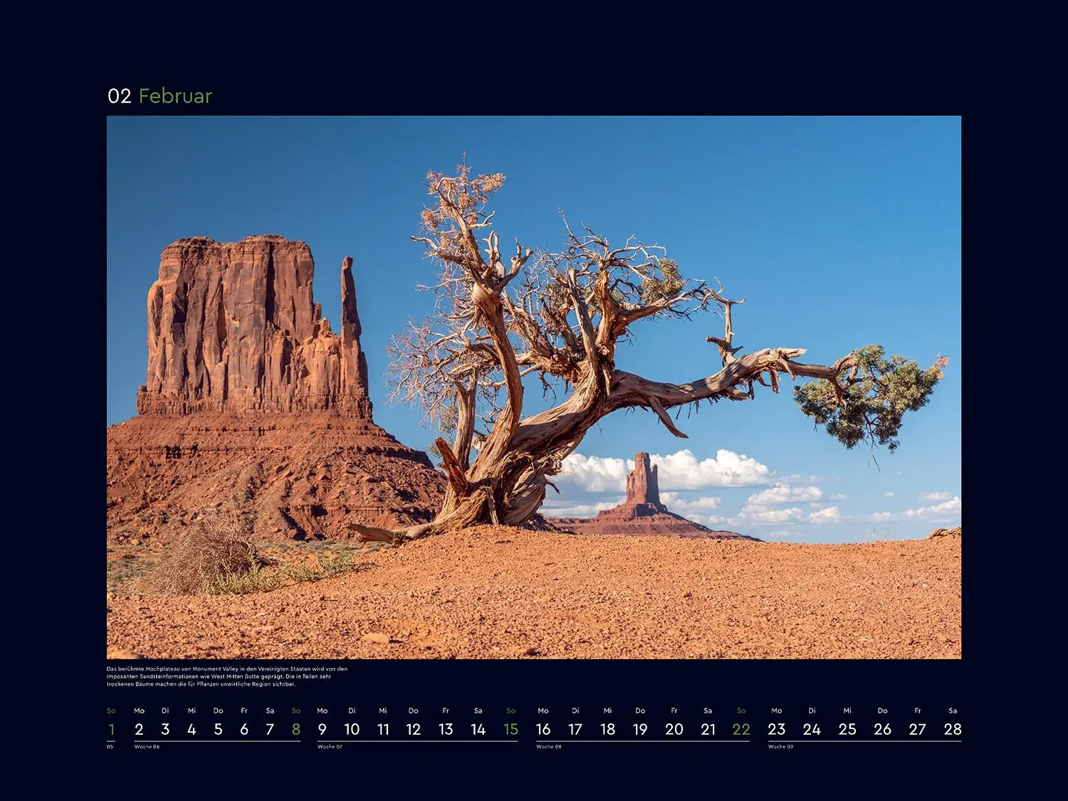 Bild: 9783965914803 | Alte Bäume, Sinnbilder des Lebens - KUNTH Wandkalender 2026 | Kalender