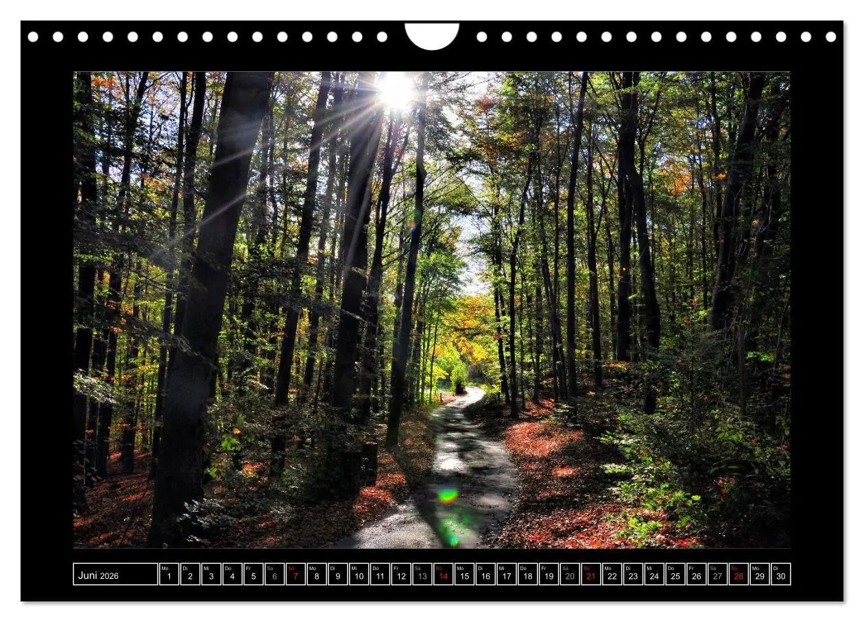 Bild: 9783516674903 | Hagen, das Tor zum Sauerland (Wandkalender 2026 DIN A4 quer),...