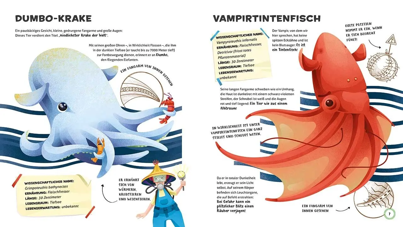 Bild: 9788863124903 | Besonders und wunderbar: Tiere | Cristina Banfi | Buch | 64 S. | 2021