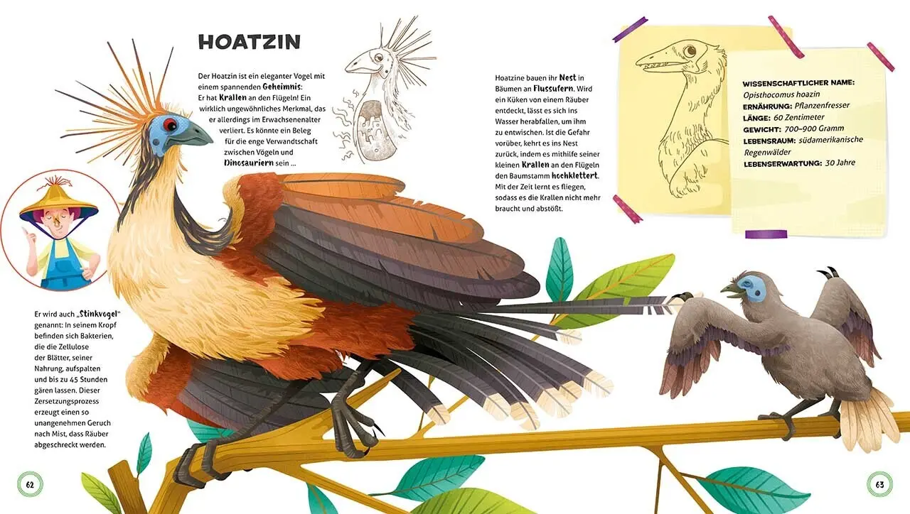Bild: 9788863124903 | Besonders und wunderbar: Tiere | Cristina Banfi | Buch | 64 S. | 2021