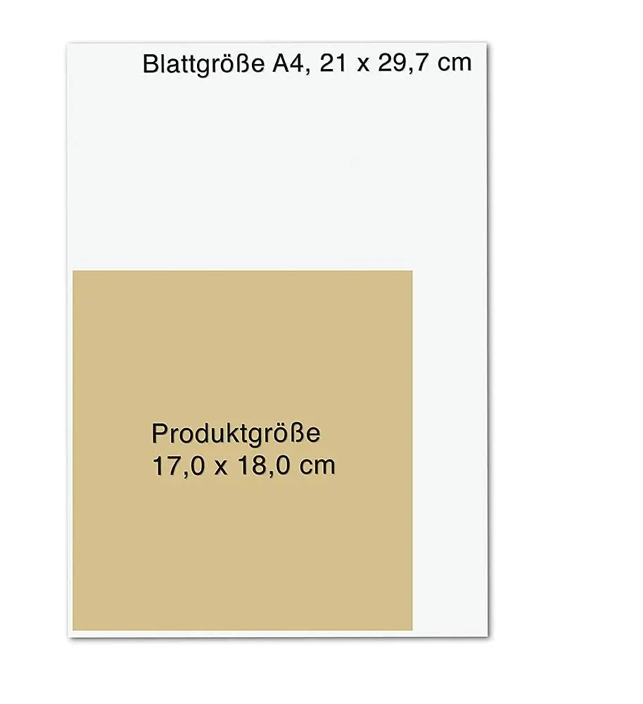 Bild: 4251693905103 | Wochenkalender 2026: Lebensfreude to go! | Franca Cerutti | Kalender