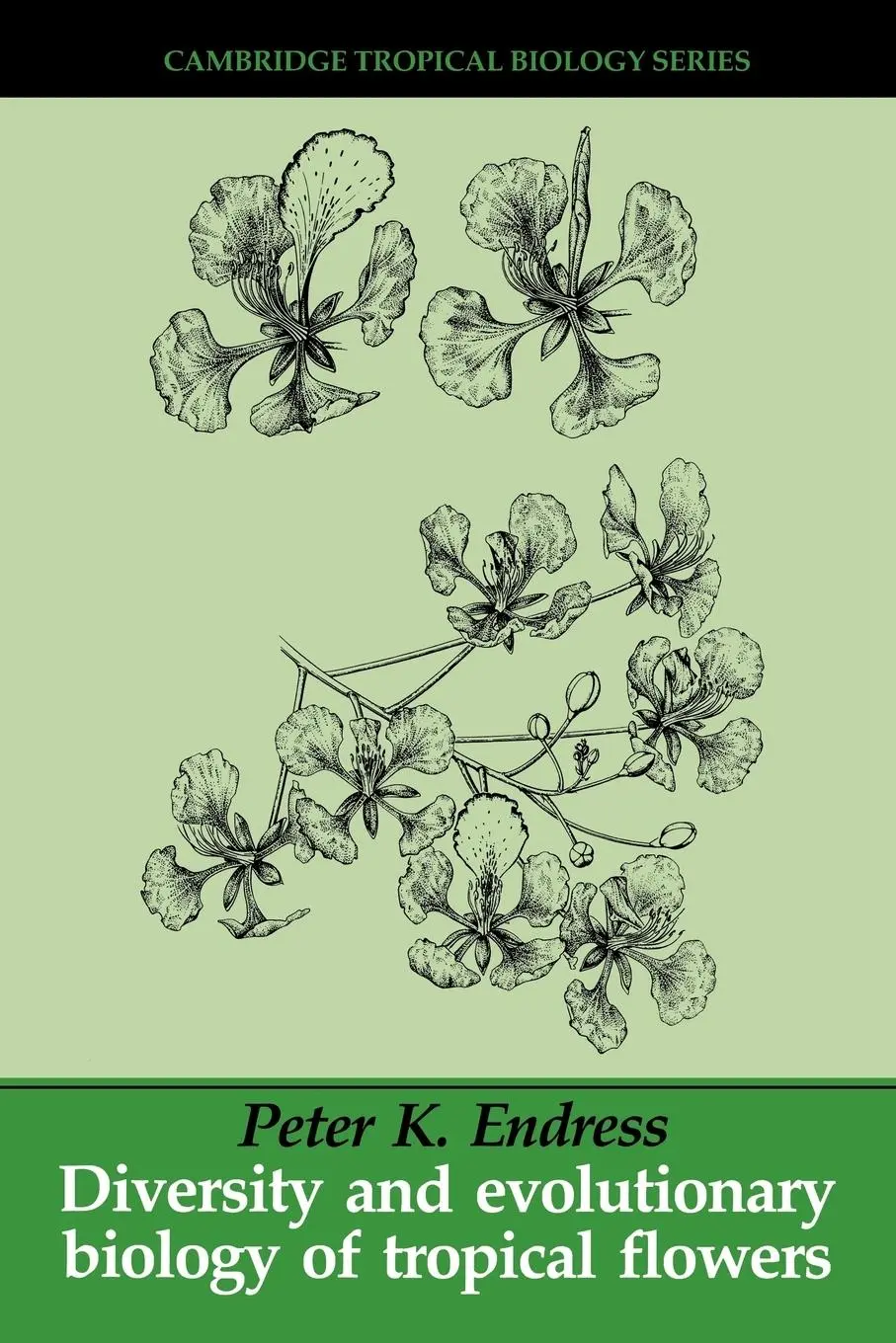 Cover: 9780521565103 | Diversity and Evolutionary Biology of Tropical Flowers | Taschenbuch