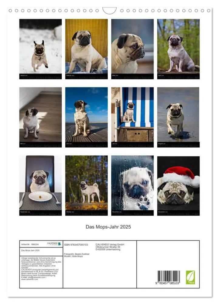 Bild: 9783457085103 | Das Mops-Jahr 2025 (Wandkalender 2025 DIN A3 hoch), CALVENDO...