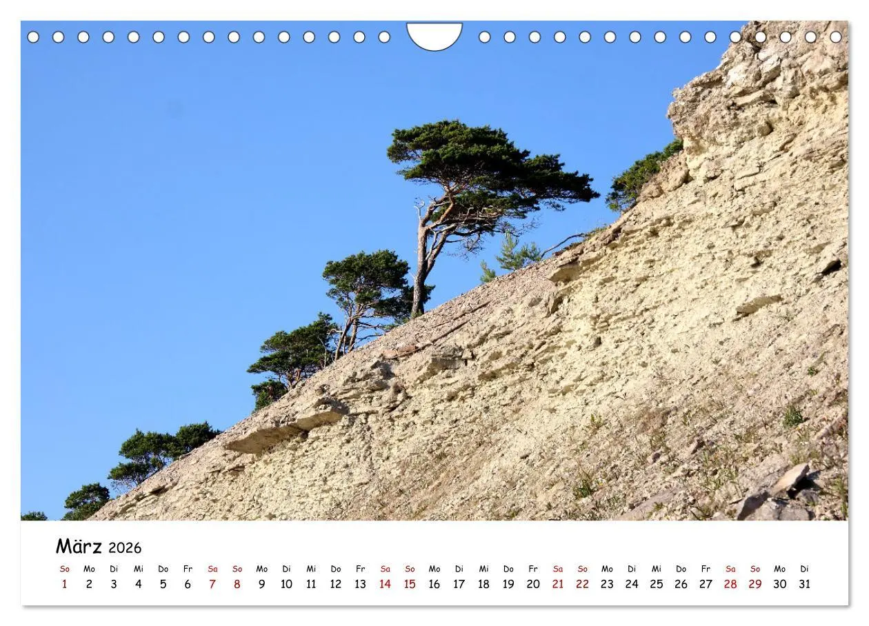 Bild: 9783457915103 | Gotland Impressionen (Wandkalender 2026 DIN A4 quer), CALVENDO...
