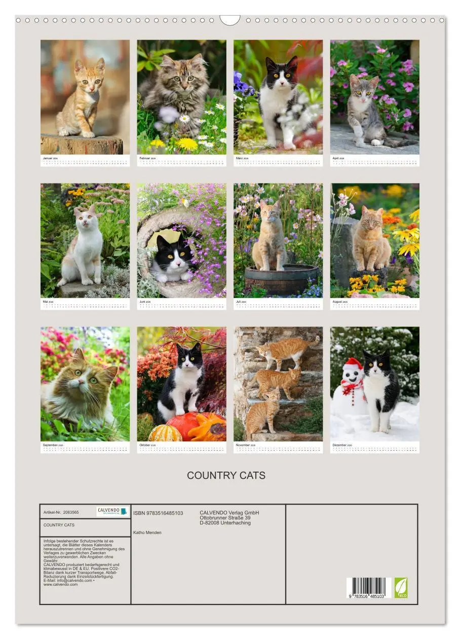 Bild: 9783516485103 | COUNTRY CATS (Wandkalender 2026 DIN A2 hoch), CALVENDO Monatskalender