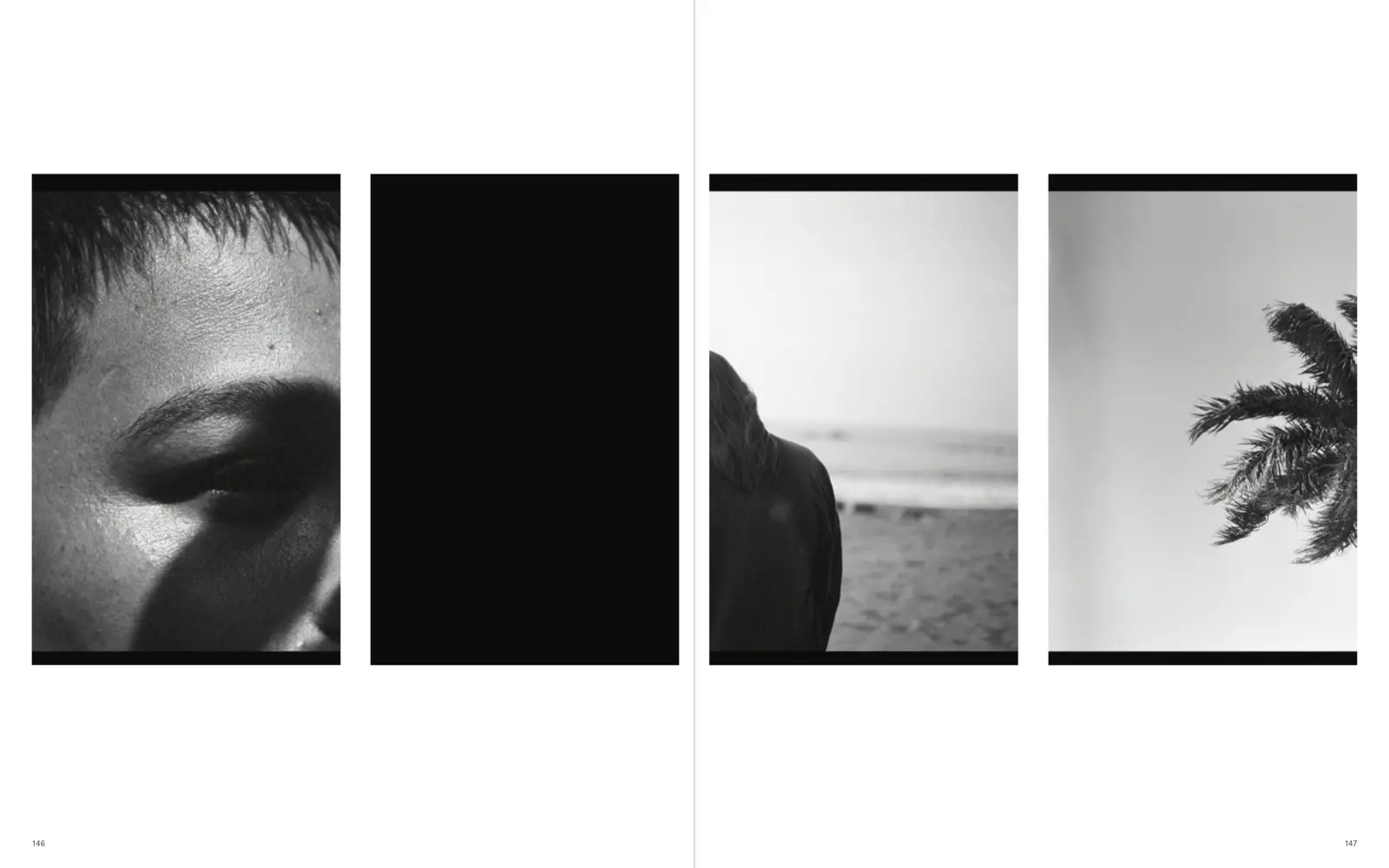Bild: 9783110785203 | Wenn der Wind weht / When the Wind Blows | Liddy Scheffknecht (u. a.)