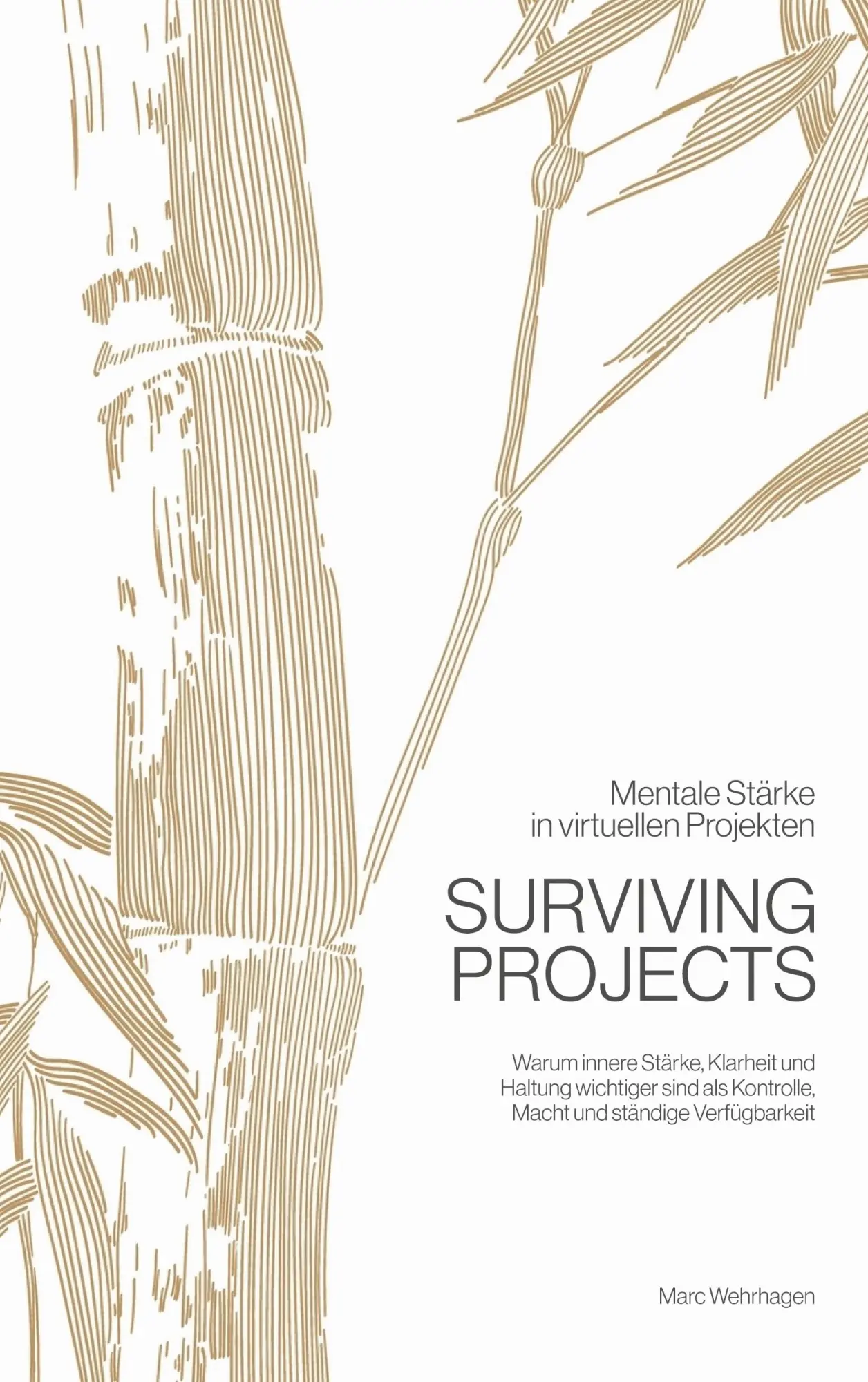Cover: 9783819275203 | Surviving Projects | Mentale Stärke in virtuellen Projekten | Buch