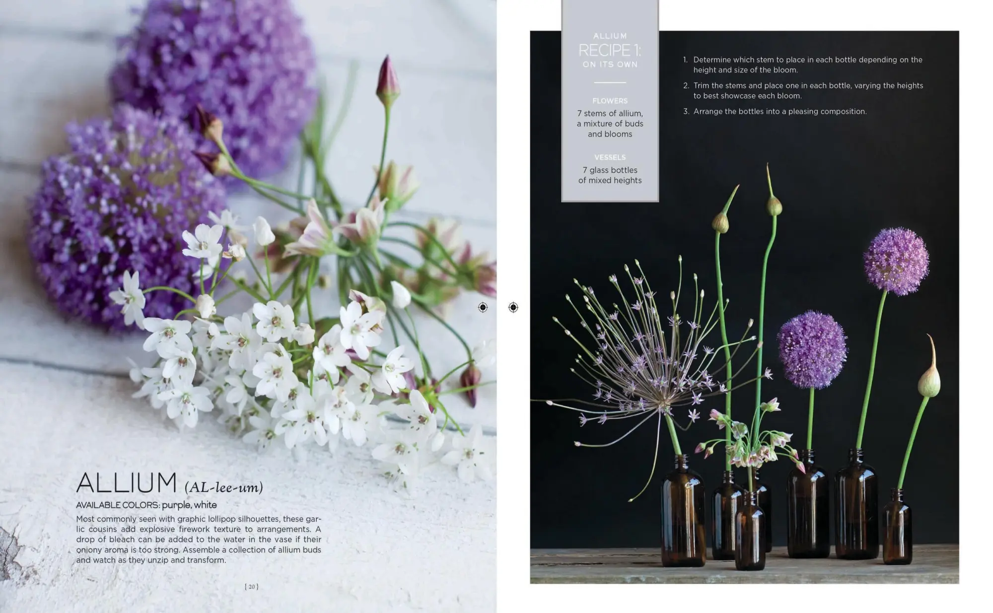 Bild: 9781579655303 | Flower Recipes | 125 Step-by-Step Arrangements for Everyday Occasions