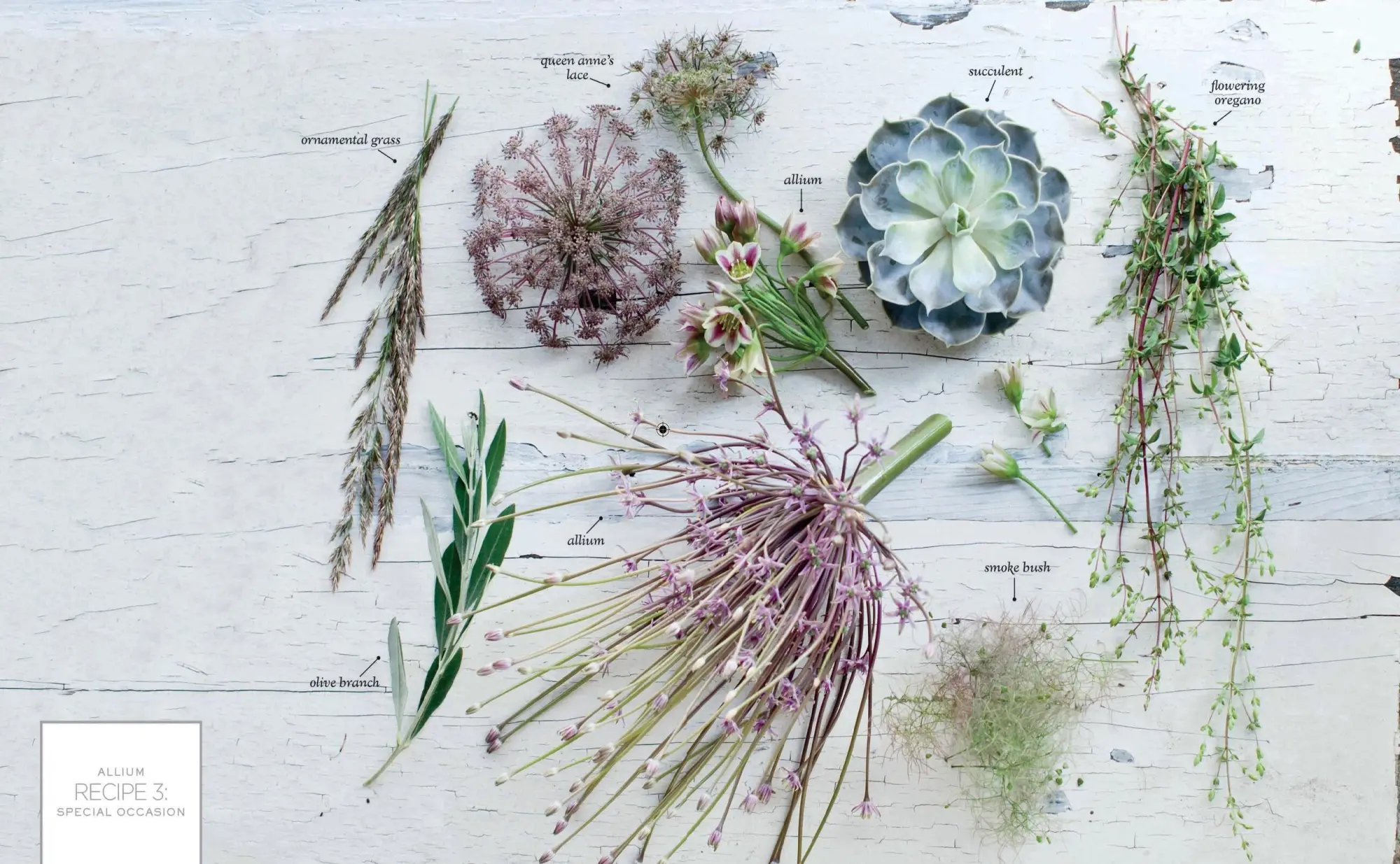 Bild: 9781579655303 | Flower Recipes | 125 Step-by-Step Arrangements for Everyday Occasions