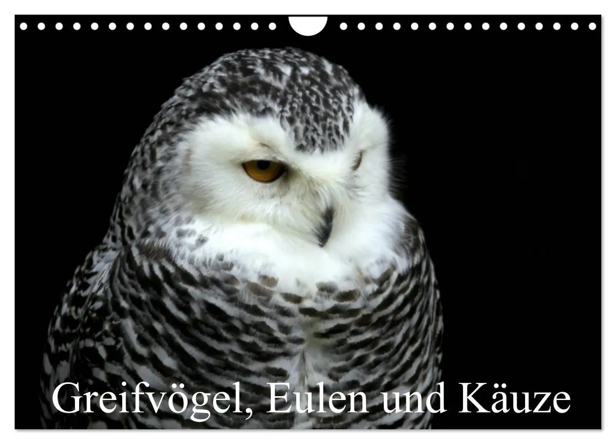 Cover: 9783457995303 | Greifvögel, Eulen und Käuze (Wandkalender 2026 DIN A4 quer),...