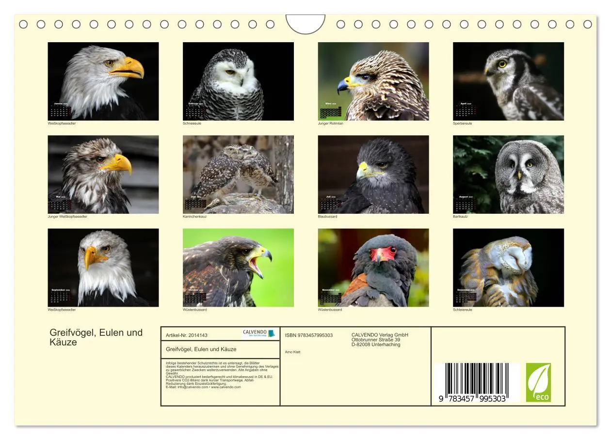 Bild: 9783457995303 | Greifvögel, Eulen und Käuze (Wandkalender 2026 DIN A4 quer),...
