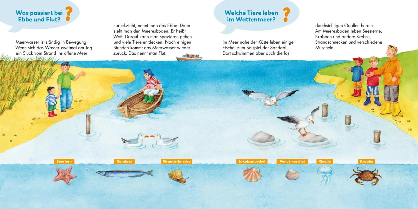 Bild: 9783551255303 | Frag doch mal ... die Maus: Am Meer | Marlit Peikert | Buch | 18 S.