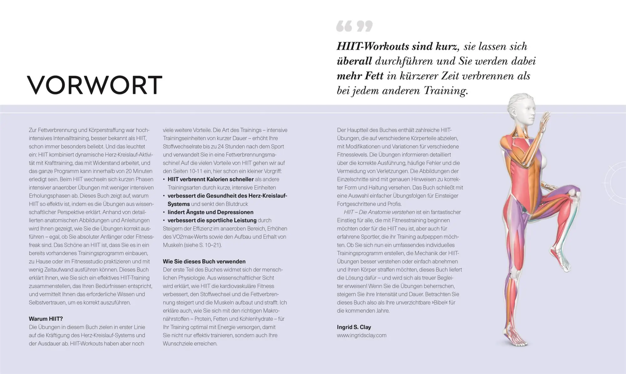 Bild: 9783831045303 | HIIT - Die Anatomie verstehen | Ingrid S. Clay | Taschenbuch | 224 S.