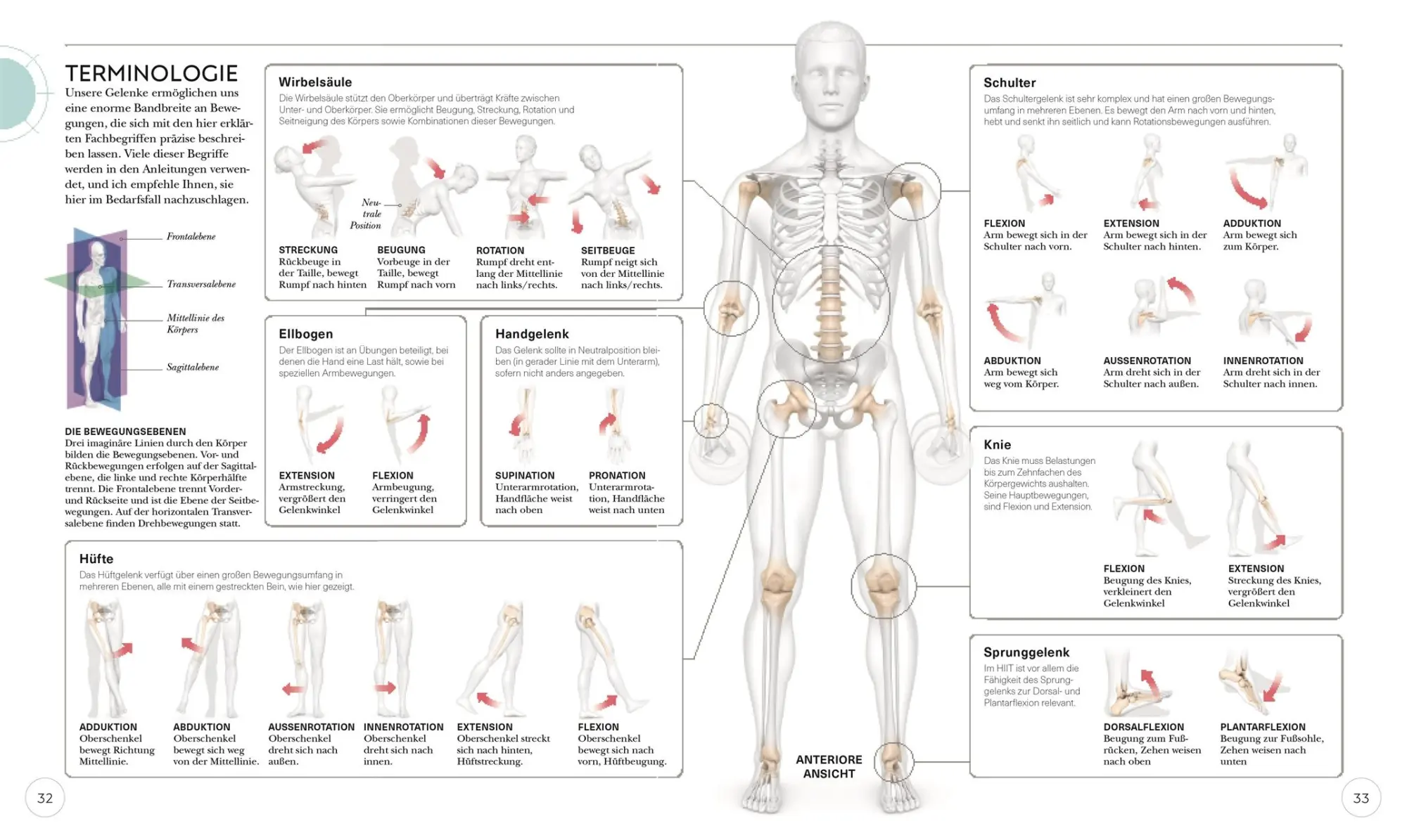 Bild: 9783831045303 | HIIT - Die Anatomie verstehen | Ingrid S. Clay | Taschenbuch | 224 S.