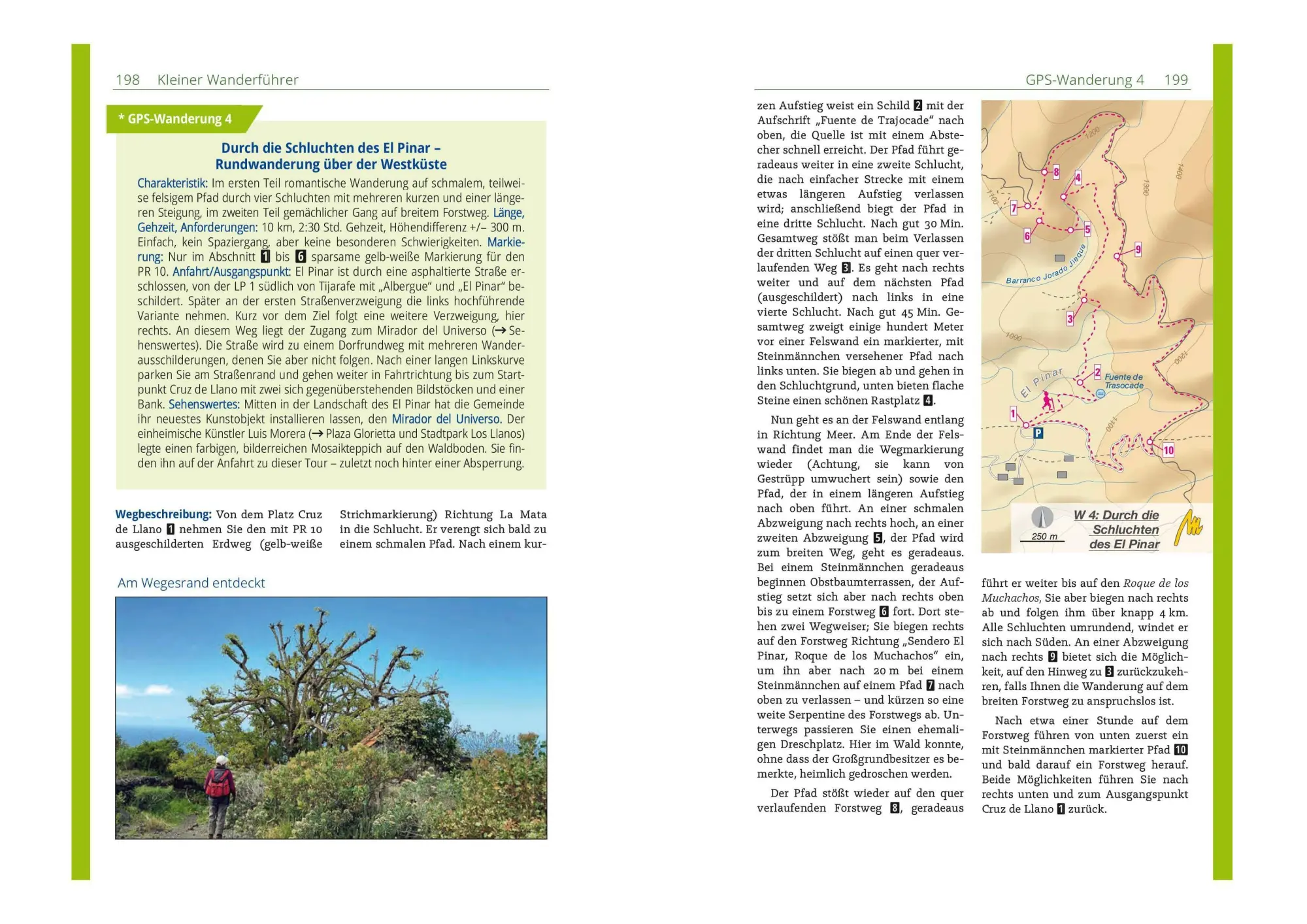 Bild: 9783966855303 | MICHAEL MÜLLER Reiseführer La Palma | Irene Börjes | Taschenbuch