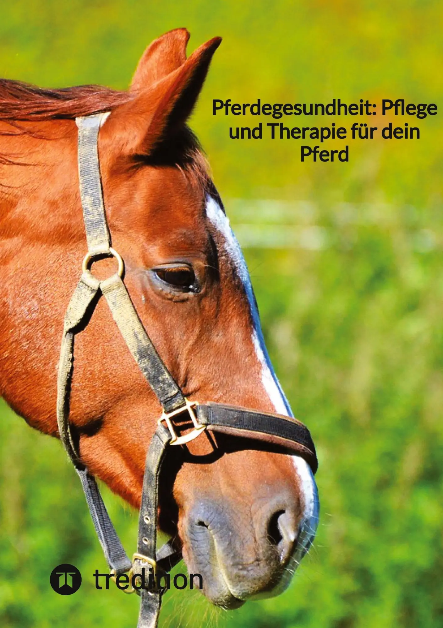 Cover: 9783347855403 | Pferdegesundheit: Pflege und Therapie für dein Pferd | Moritz | Buch